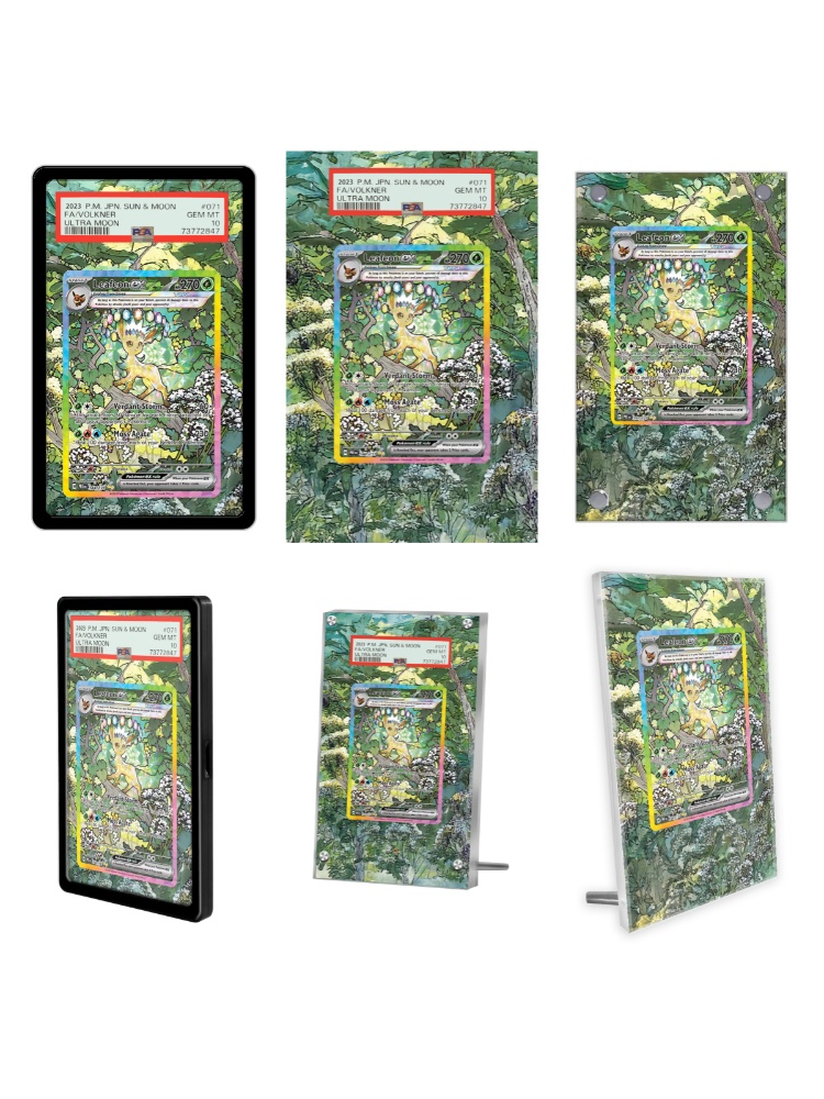 Pantalla de tarjetas de Pokémo - Display Case Acrylic reseña y precio