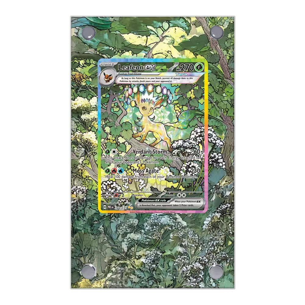 Pantalla de tarjetas de Pokémo - Display Case Acrylic reseña y precio