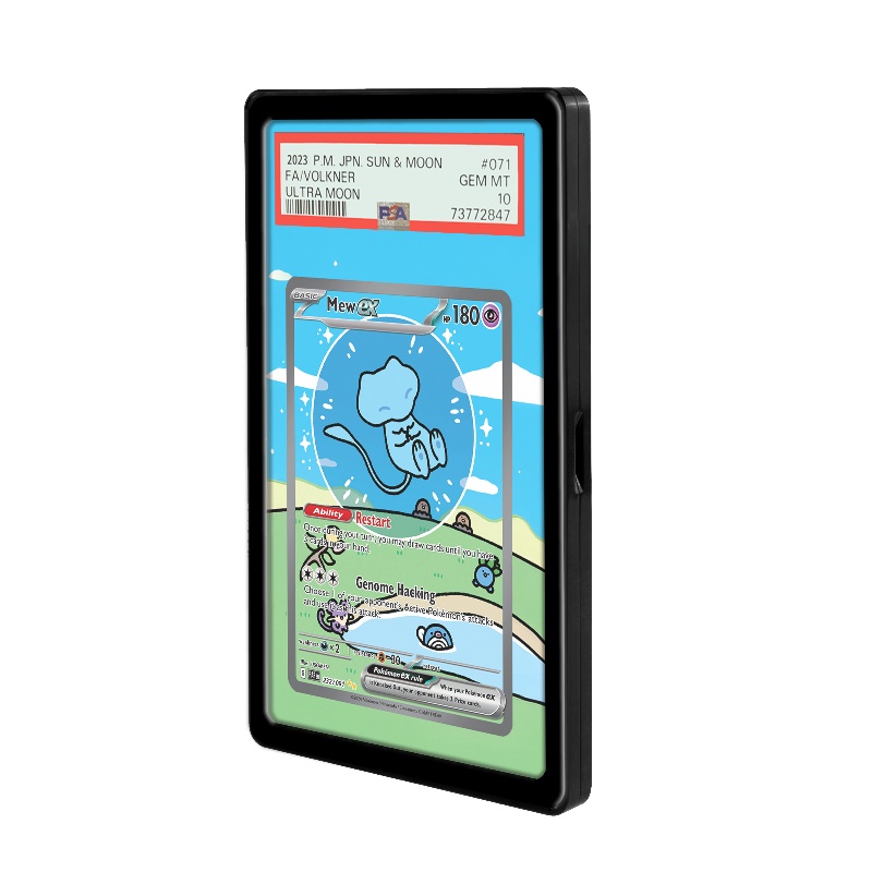 Pantalla de tarjetas de Pokémo - Display Case Acrylic reseña y precio