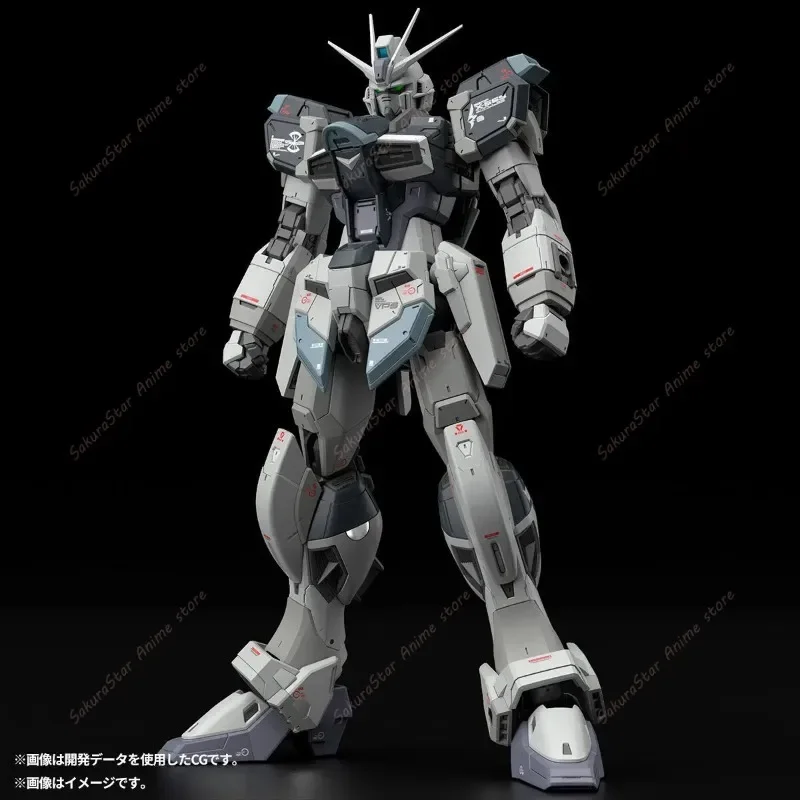【En stock】Bandai PB Limited RG - Bandai Model Gundam Rg reseña y precio